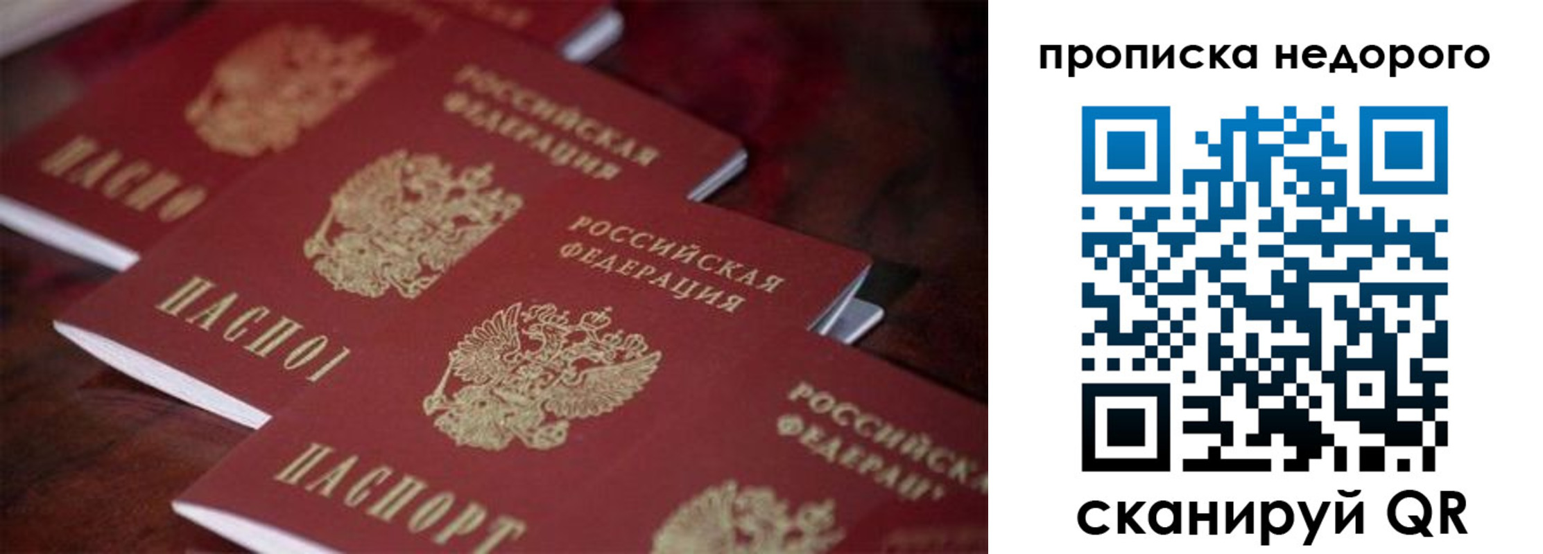временная регистрация 2025 в Александровске-Сахалинском